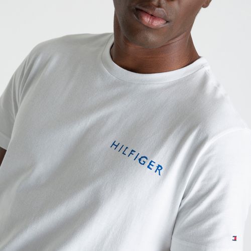 Camiseta Hilfiger Ink Posterior