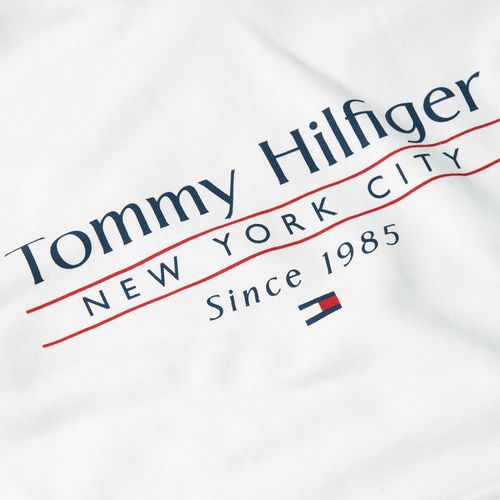 Moletom Logo Hilfiger Com Capuz