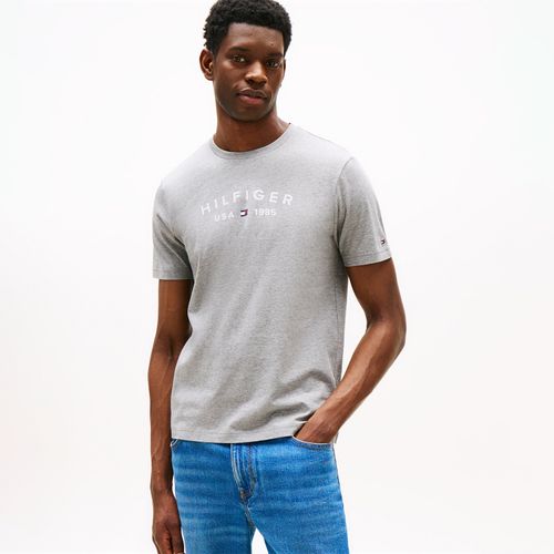 Camiseta Logo Hilfiger Usa Gola C