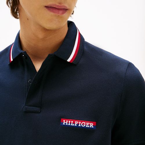 Polo Tipped Global Stripe Regular Fit