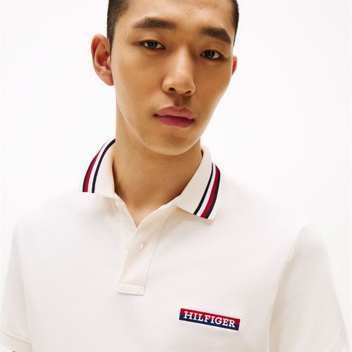 Polo Tipped Global Stripe Regular Fit