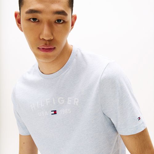 Camiseta Logo Hilfiger Usa Gola C
