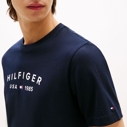 Camiseta Logo Hilfiger Usa Gola C