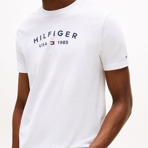 Camiseta Logo Hilfiger Usa Gola C