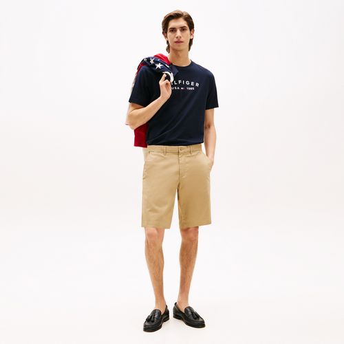 Camiseta Logo Hilfiger Usa Gola C