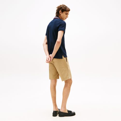 Polo Tipped Global Stripe Regular Fit