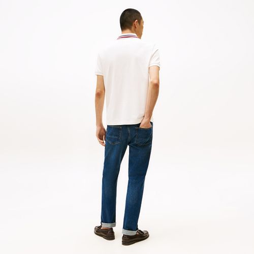 Polo Tipped Global Stripe Regular Fit