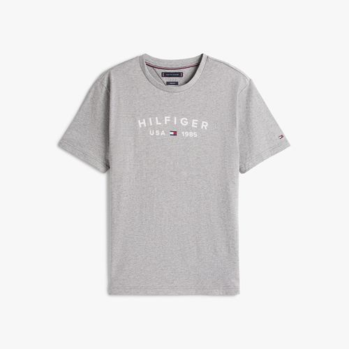 Camiseta Logo Hilfiger Usa Gola C
