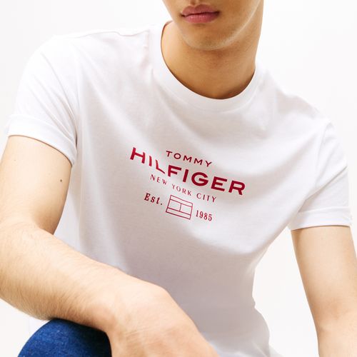 Camiseta Estampa Hilfiger